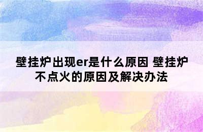 壁挂炉出现er是什么原因 壁挂炉不点火的原因及解决办法